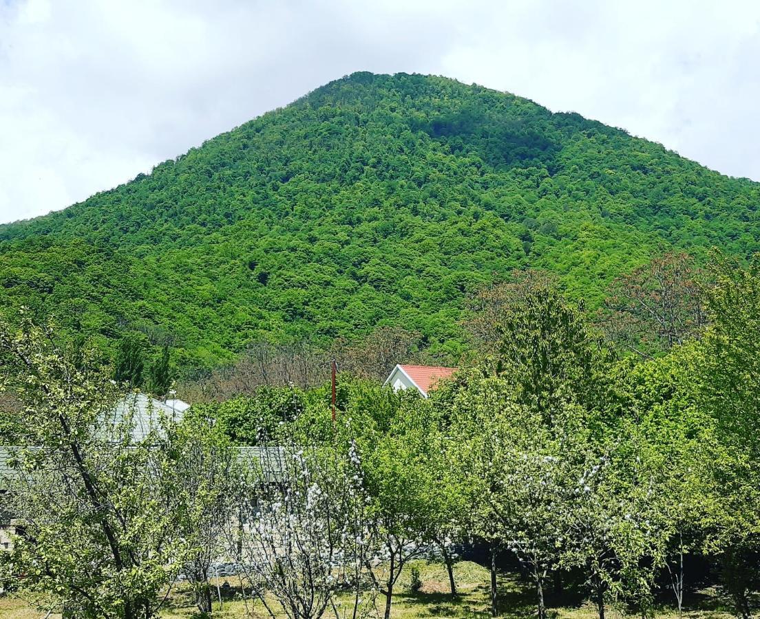 Gabala Sweet Home Eksteriør billede